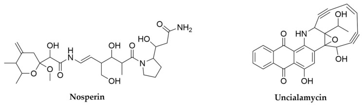 Figure 13