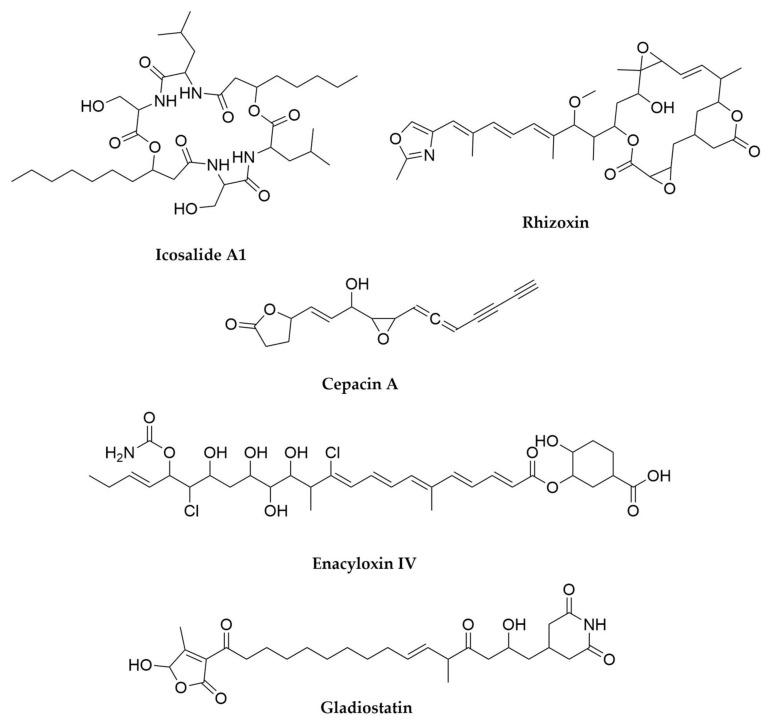 Figure 16