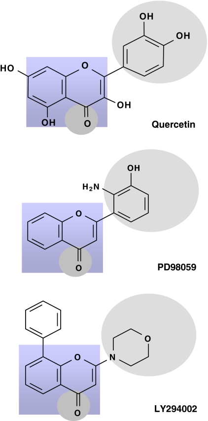 Fig. 6