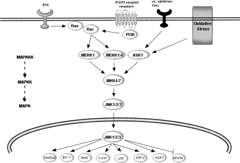 Fig. 4