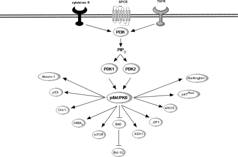 Fig. 7