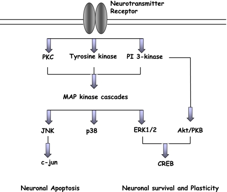 Fig. 2