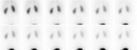 Figure 2b: