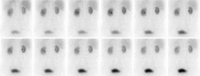 Figure 1b: