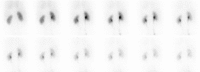 Figure 2a: