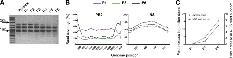 FIG 6