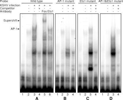 FIG. 6.