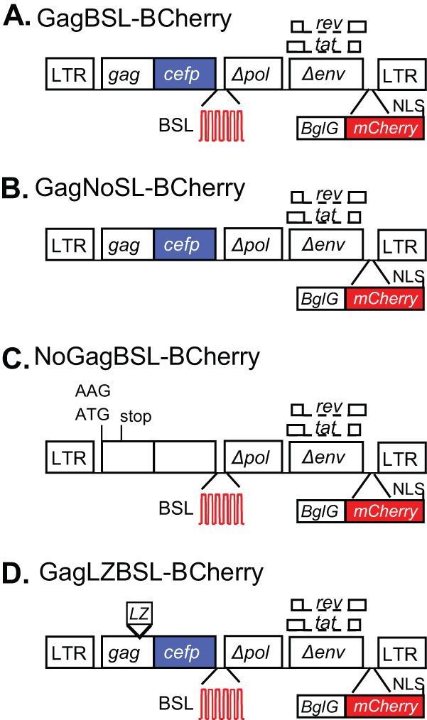 Fig 1