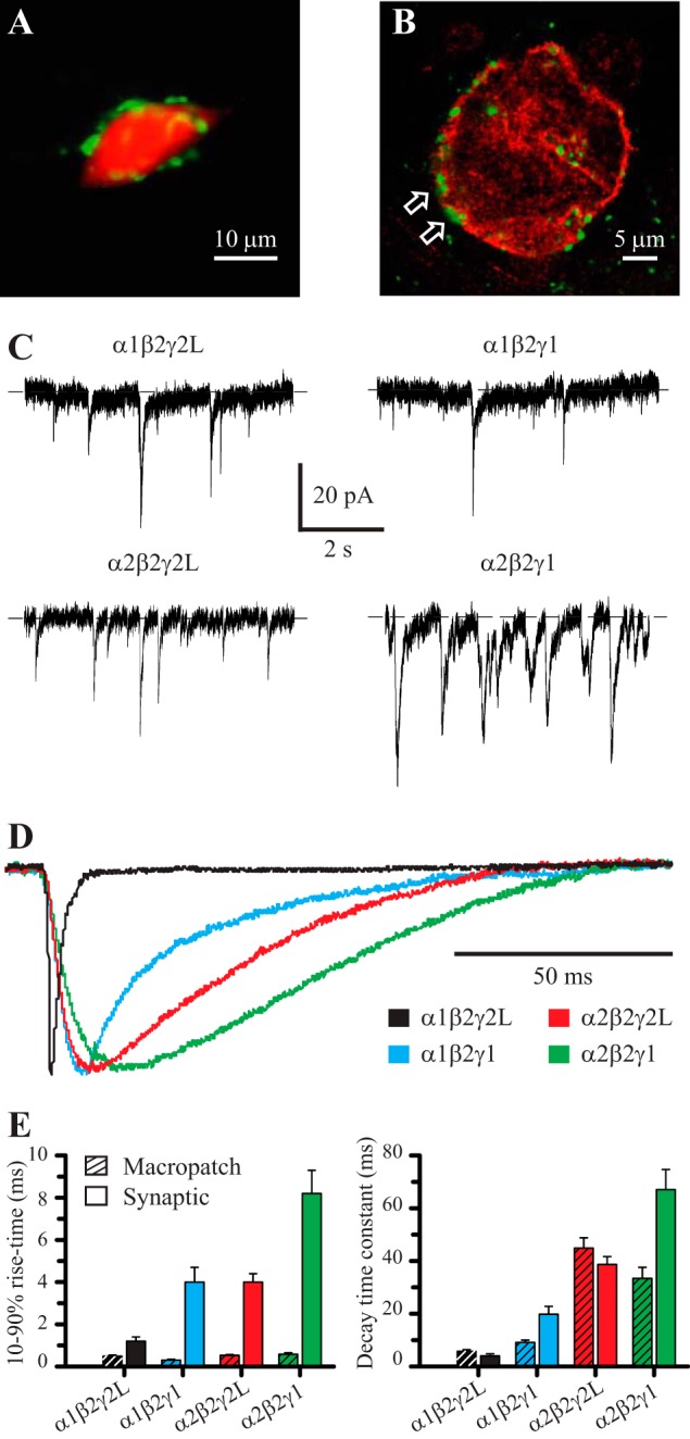 FIGURE 5.