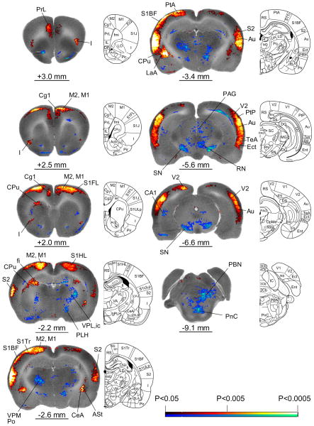 Fig. 3