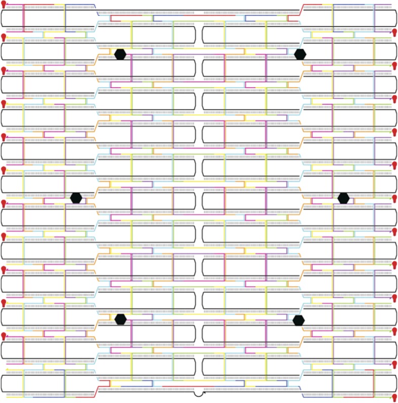 Figure 1—figure supplement 1.