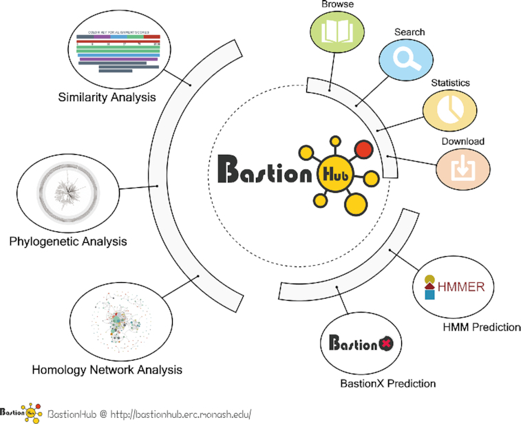 Graphical Abstract