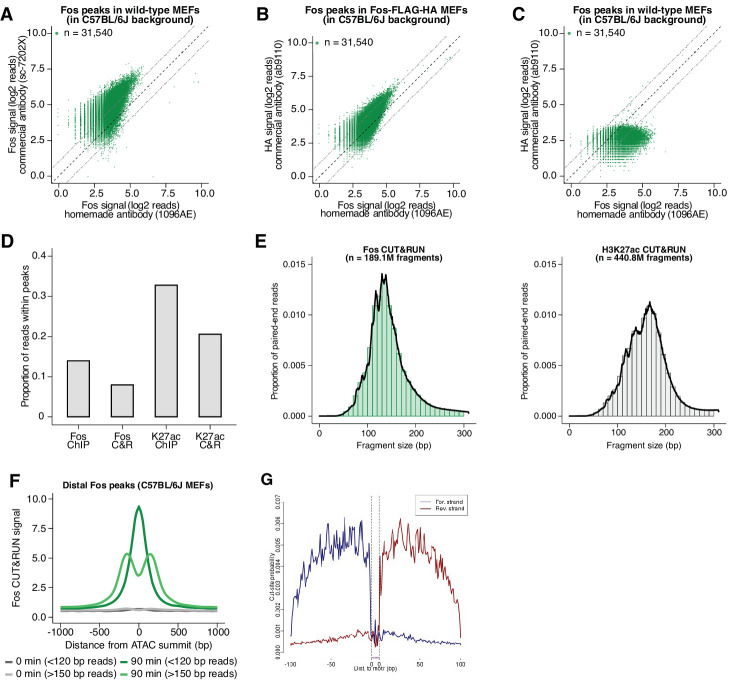 Figure 3—figure supplement 2.