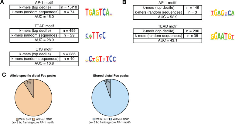 Figure 3—figure supplement 1.