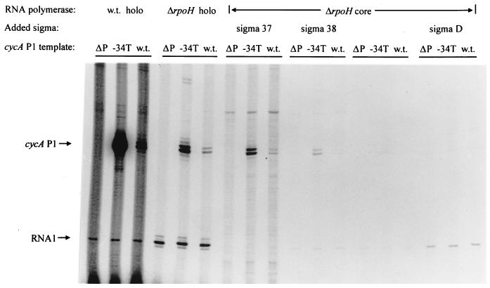 FIG. 3