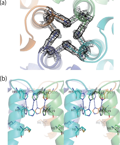 FIGURE 4.