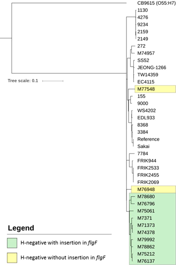 FIG 2