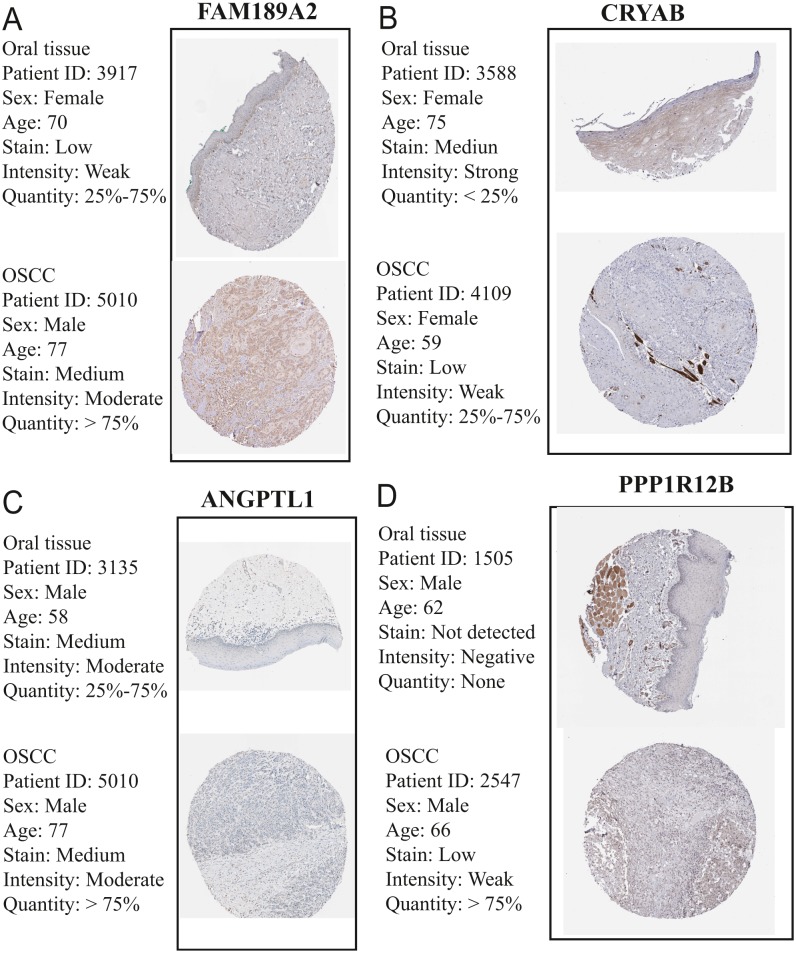 Figure 15