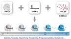 Graphical Abstract