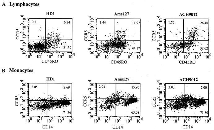 FIG. 1