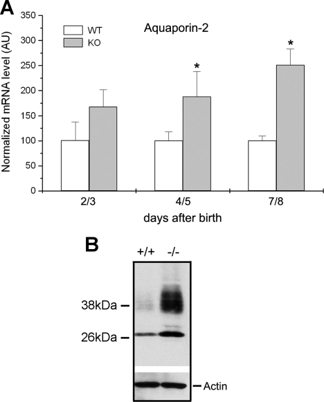 Fig. 8.