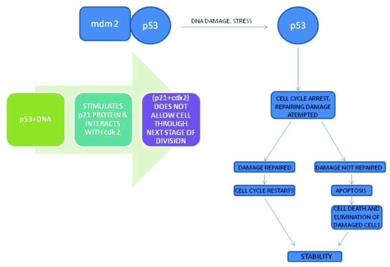 [Table/Fig-4]: