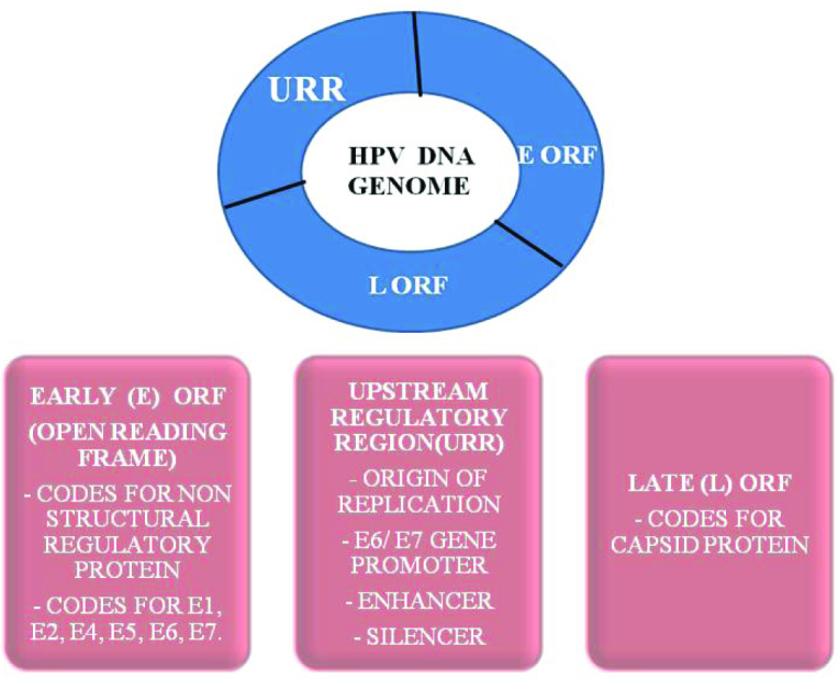 [Table/Fig-1]: