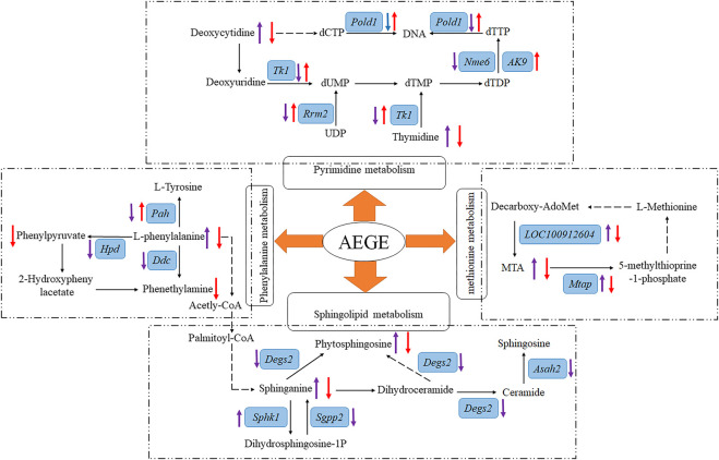 FIGURE 6