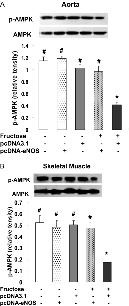 Fig. 9.