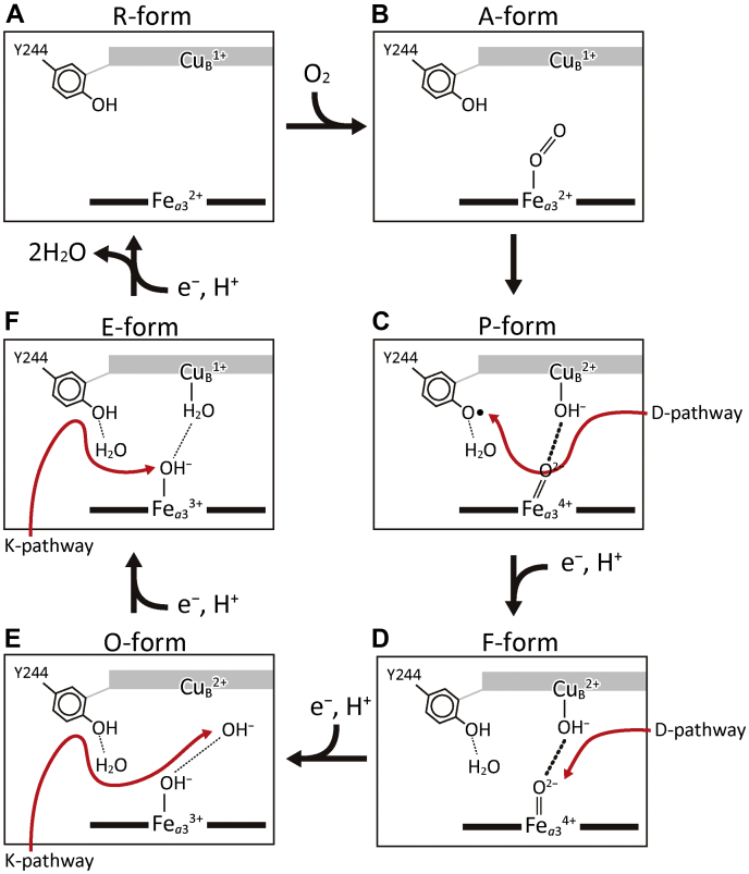 Figure 10