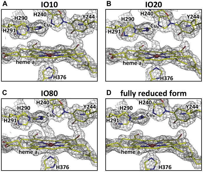 Figure 3