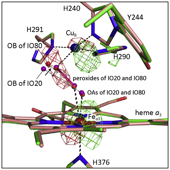 Figure 9