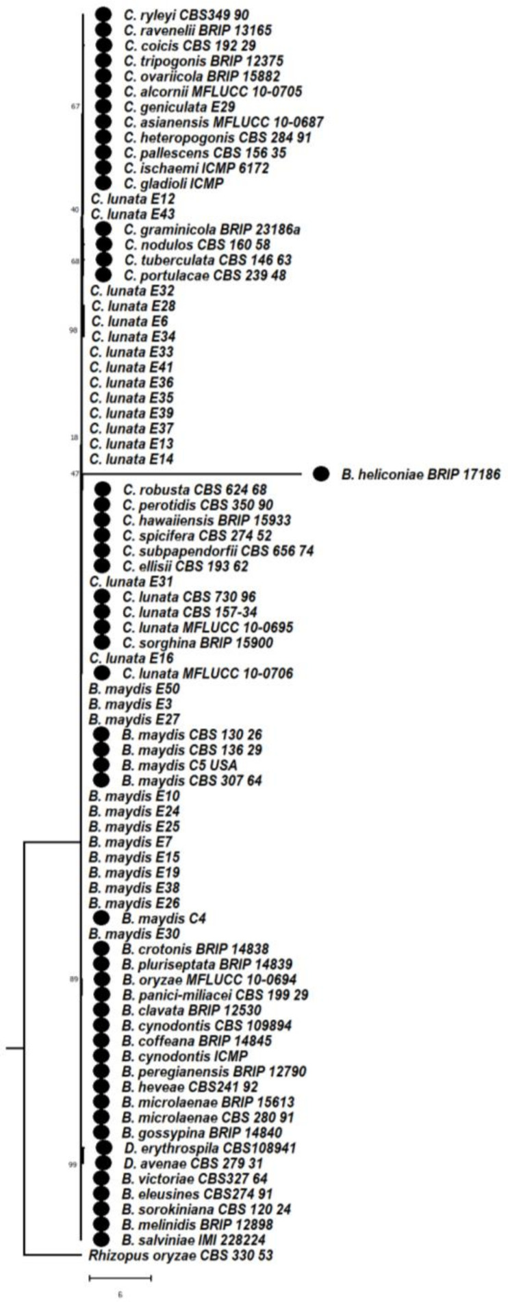 Figure 10