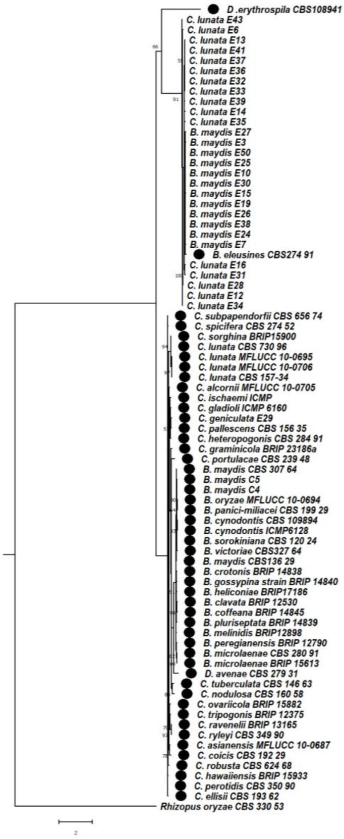 Figure 9