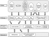 Fig. (1) Classification of diabetes genes with a potential role in β-cell function.