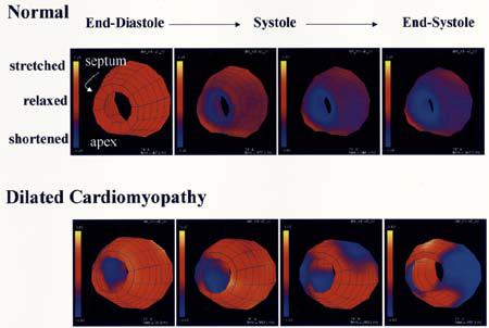 Fig. 11