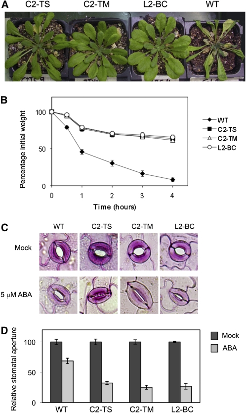 Figure 6.