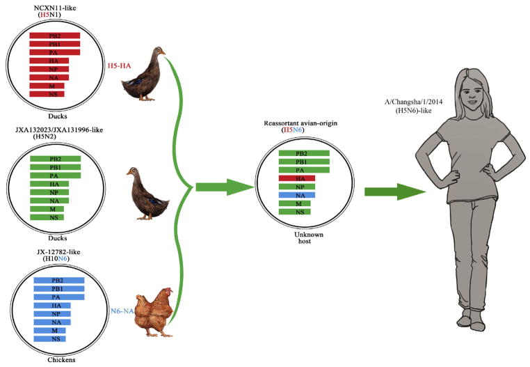 Fig. 2