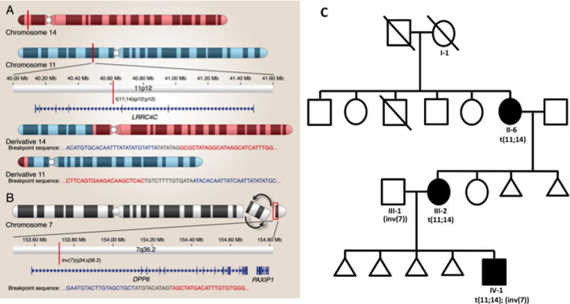 FIG. 1