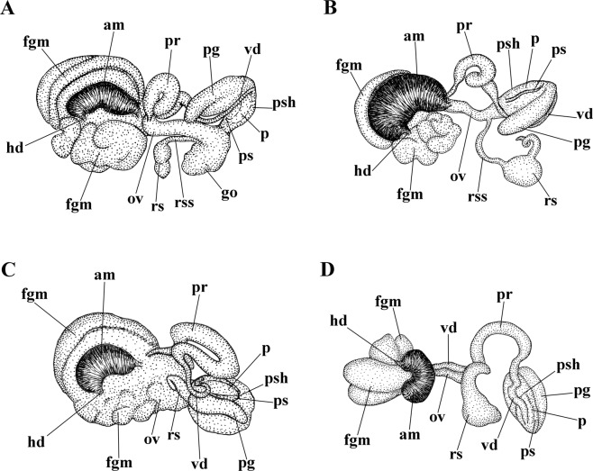 Figure 11