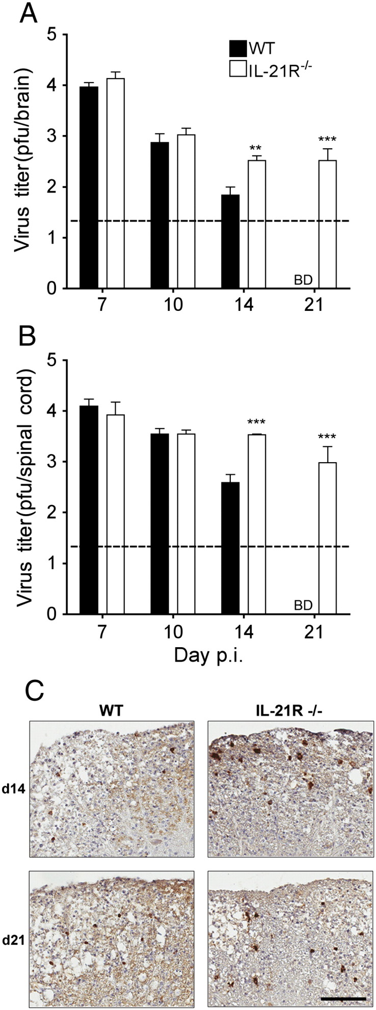 Fig. 6