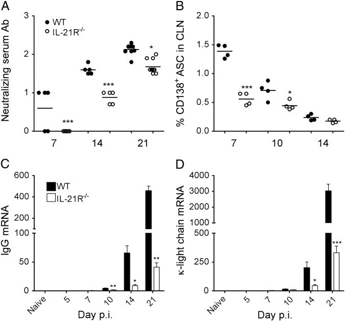 Fig. 7