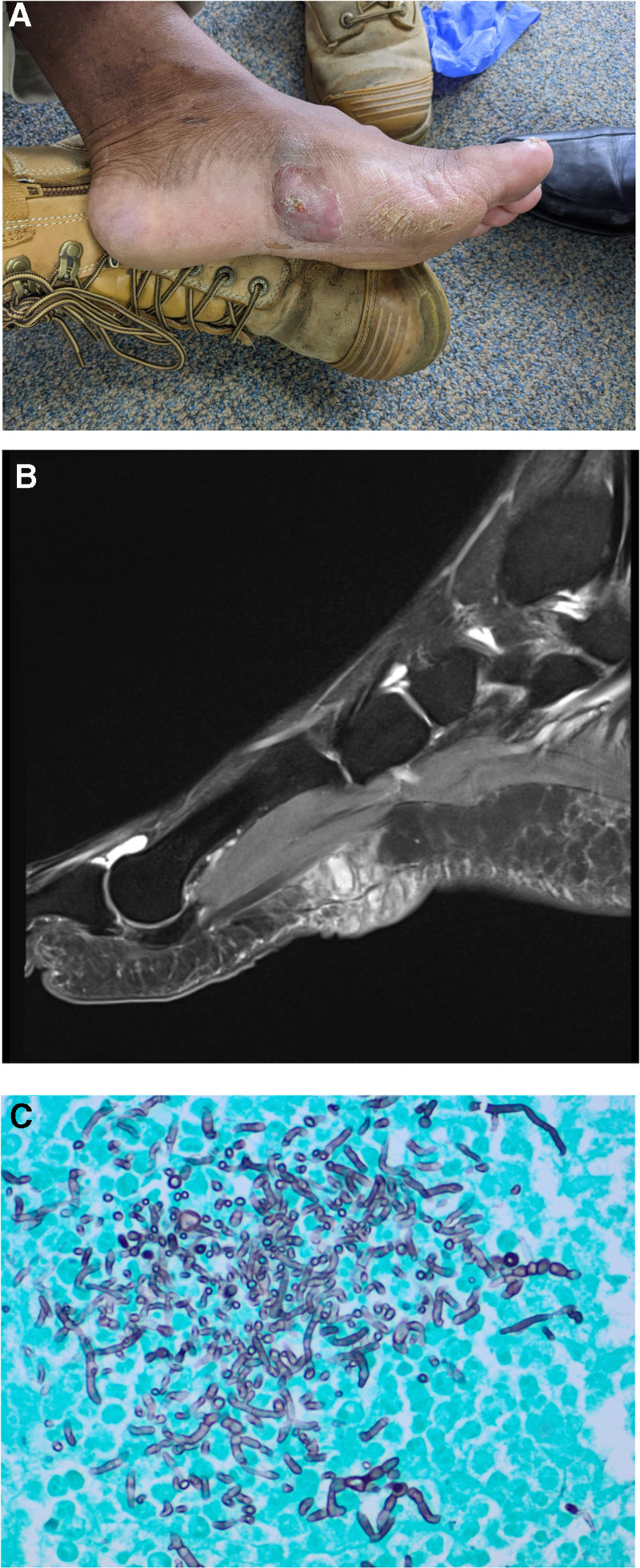 FIGURE 2.