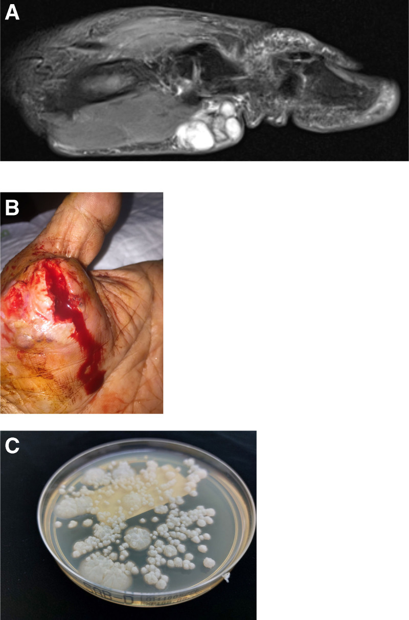 FIGURE 1.