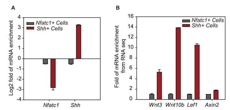 Figure 3—figure supplement 1.