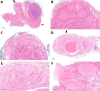 Fig. 9