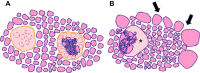 Fig. 10