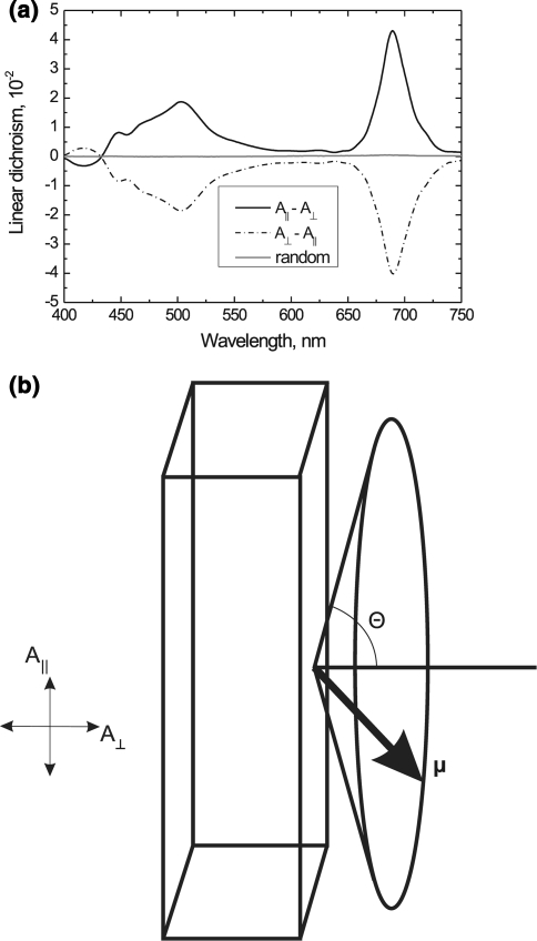 Fig. 1