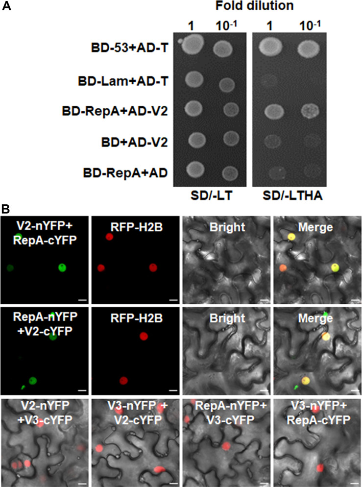 FIGURE 4