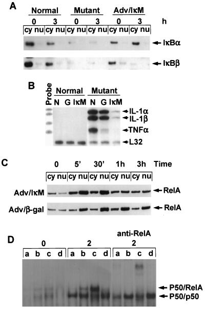 FIG. 6